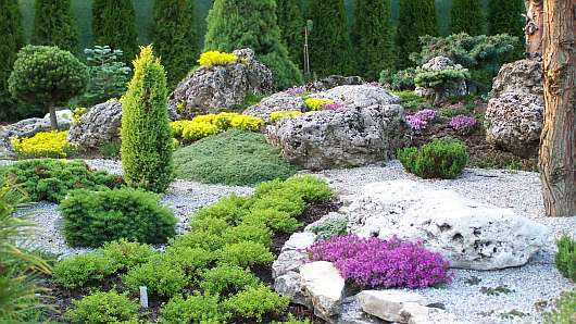 Widok na piękny ogród z kamieniami i kwiatkami